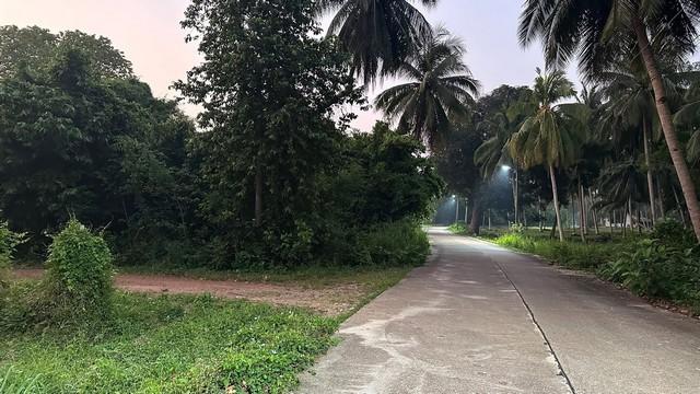 ขายที่ดินติดทะเล ฝั่งแดง ประจวบ บางสะพานน้อย สวยมากแปลงนี้ ขายถูกสุดในย่านนี้ ไร่ละ 2.6 ล้านบาท