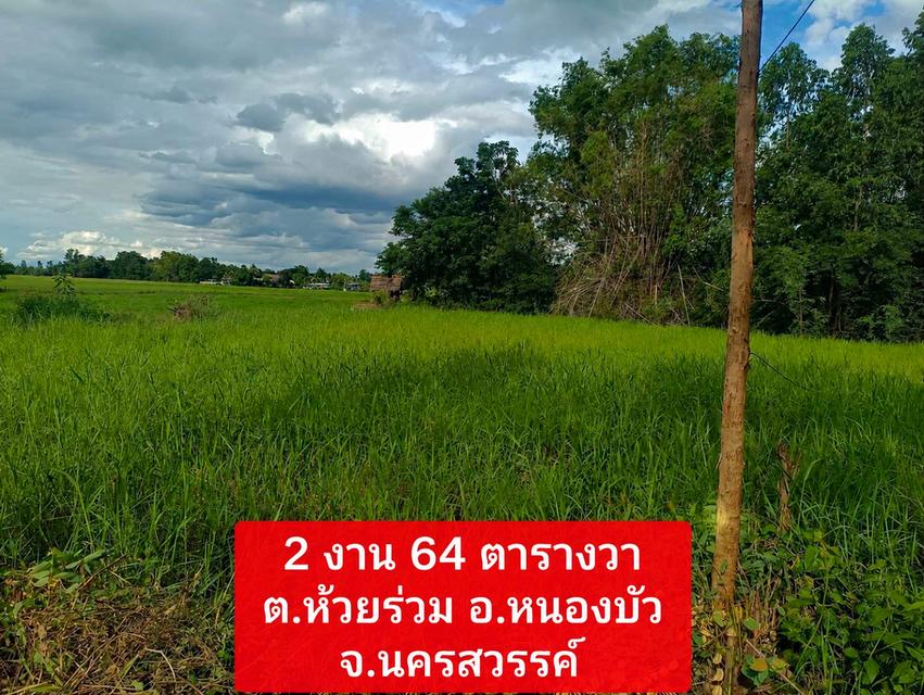 ที่ดินเหมาะสร้างบ้าน อ.หนองบัว จ.นครสวรรค์ 1