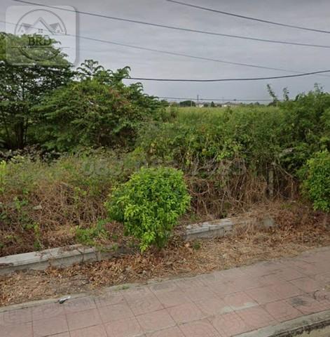 ขายที่ดินทำเลทอง สร้างหมู่บ้าน ติดถนนวัดศรีวารีน้อย ผังสีเหลือง เนื้อที่ 29-2-86.4 ไร่ ขายไร่ละ 13 ล้าน บางเสาธง สมุทรปราการ 8