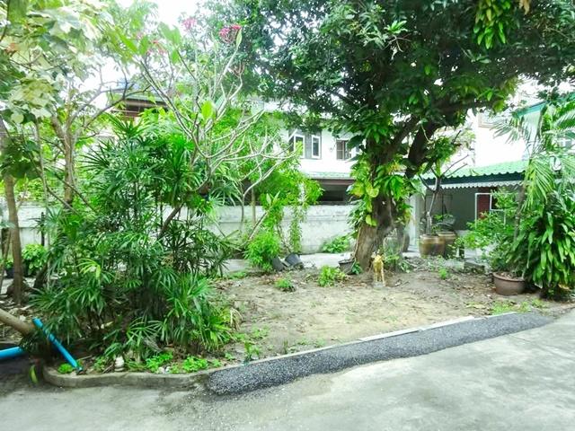 5นอน MRTบางยี่ขัน 2กม. ตั้งฮั่วเส็ง 750 ม. ถ.สิรินธร ให้เช่าบ้าน2 ชั้น หลังใหญ่ 127ตร.วา.380 ตร.ม. รีโนเวทใหม่ 3น้ำ บางพ 7