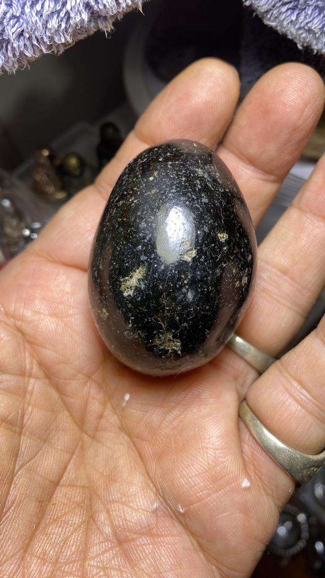 คตไข่พญานาคหรือพญางู ดึกดำบรรพ์