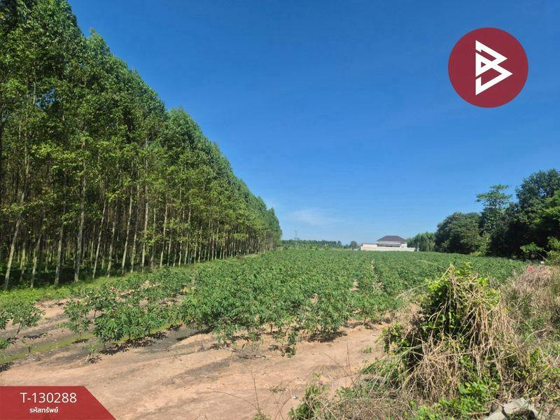 ขายที่ดิน ( แบ่งขาย 2 แปลง ) เนื้อที่ 6 ไร่ 1 งาน 42.5 ตารางวา อำเภอพนัสนิคม จังหวัดชลบุรี 2