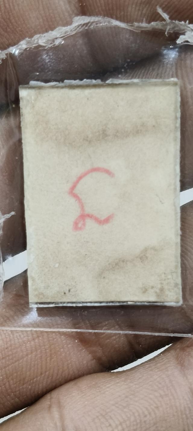 รุปถ่ายพ่อทบ 2