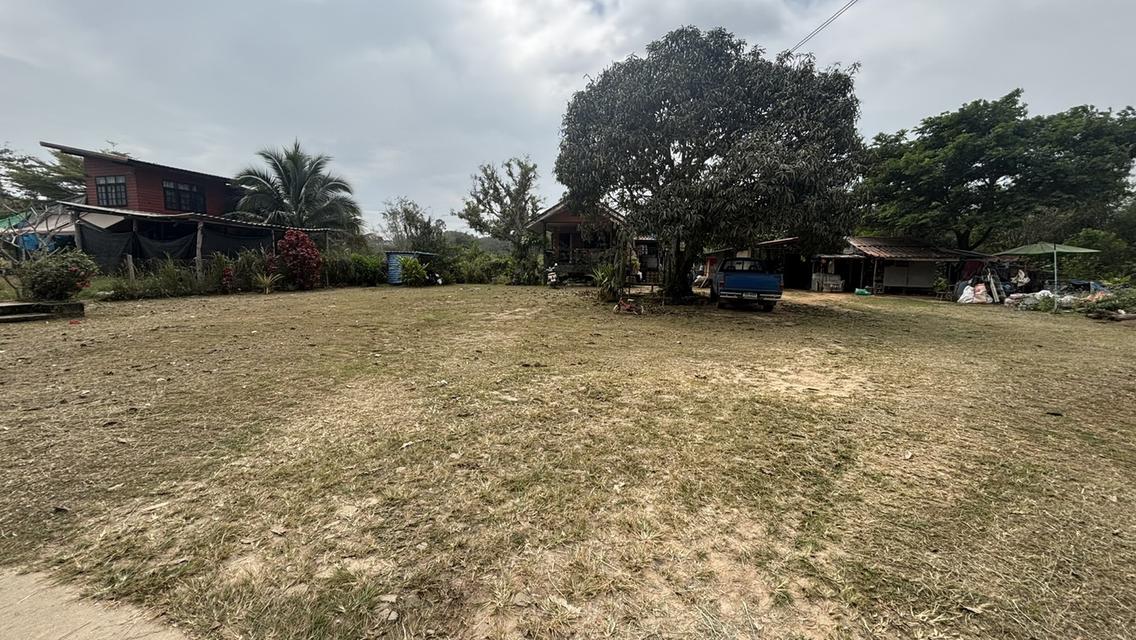 บ้านพร้อมที่ดิน คลองสอง วังน้ำเขียว 8