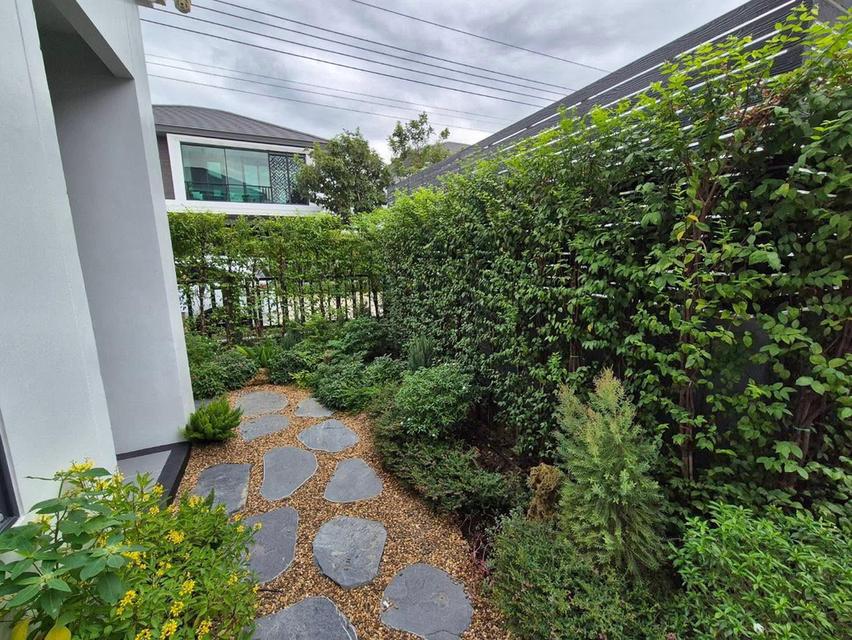 ขายบ้านเดี่ยว  ตกแต่งครบ เฟอร์นิเจอร์ครบ พร้อมอยู่ แกรนด์บริทาเนีย ราชพฤกษ์-พระราม 5  แกรนด์บริทาเนีย ราชพฤกษ์-พระราม 5 ขนาดที่ดิน 5 18