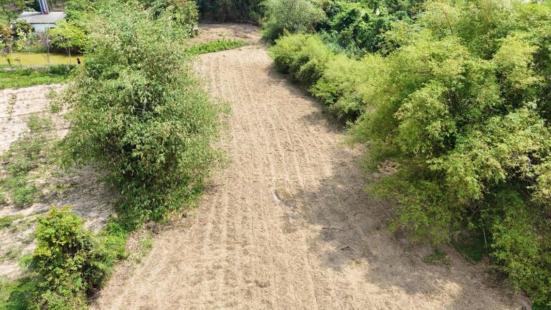 ขายที่ดินเปล่า 4-2-50 ไร่ ทำเลศักยภาพ ติดคลองกระเฉท น้ำไหลตลอดปี ใกล้นิคมอุตสาหกรรม ต.มาบข่า ระยอง 10