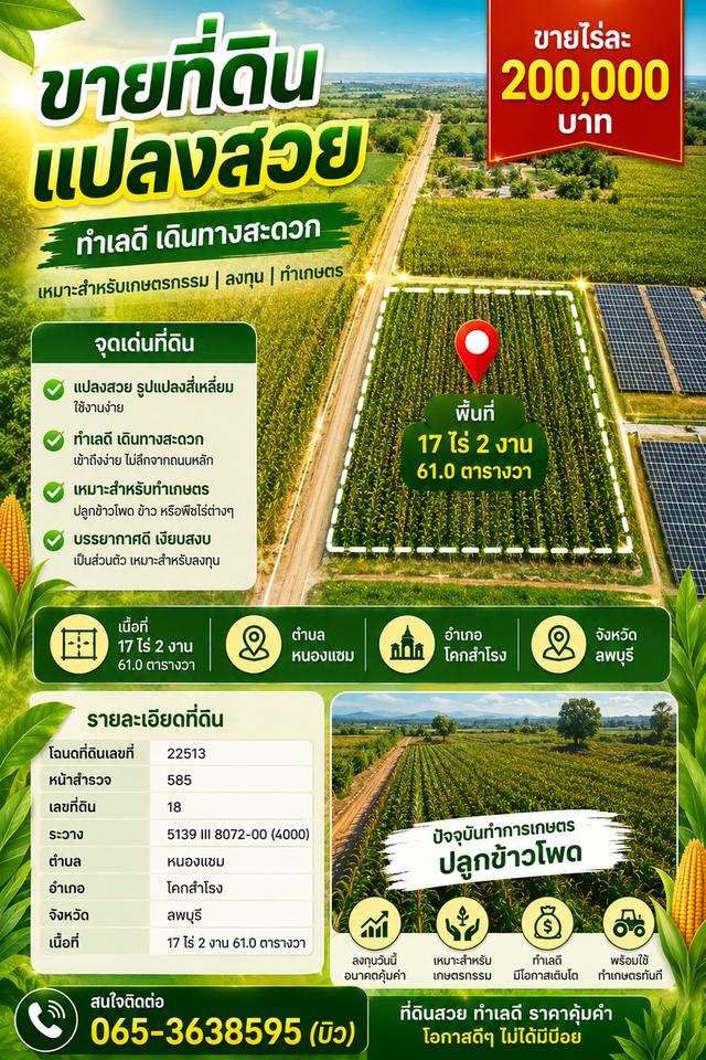 ที่ดินลพบุรีทำการเกษตรได้ ไร่ละ200,000บาท 1