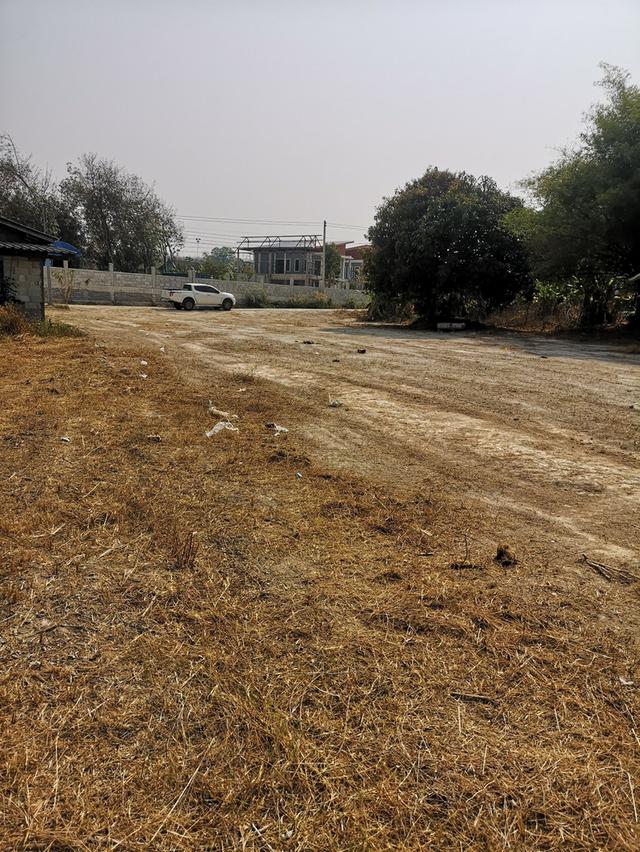 ที่ดินในจังหวัดระยอง 4