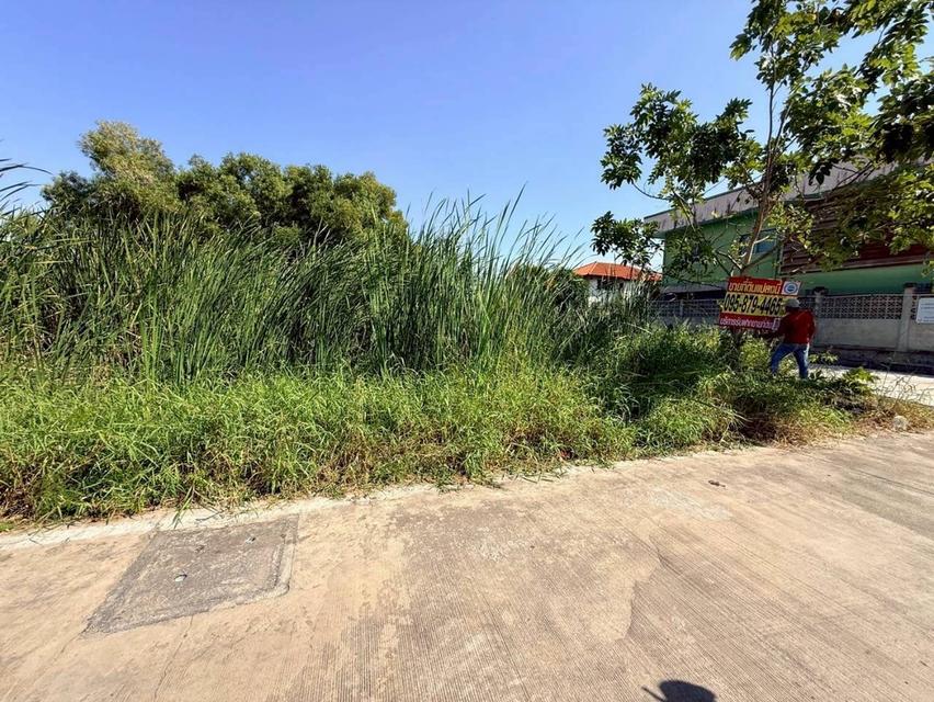 Vายด่วน ที่ดินใกล้มอเตอร์เวย์ 80 ตารางวา แปลงมุม ติดถนนคอนกรีตสาธารณะ ซอยคลองสี่ 6 อ.คลองหลวง จ.ปทุมธานี 2