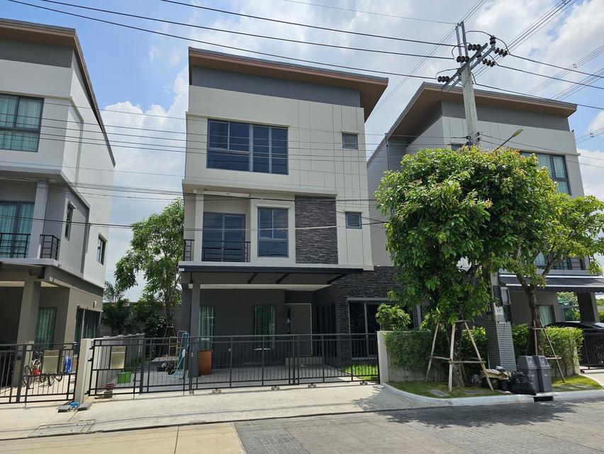 ให้เช่าบ้านเดี่ยวถนนกรุงเทพกรีฑาตัดใหม่ มอเตอร์เวย์ โรงเรียนนานาชาติเวลลิงตันและไบรตัน บ้านกลางเมือง THE EDITION Rama 9- 8