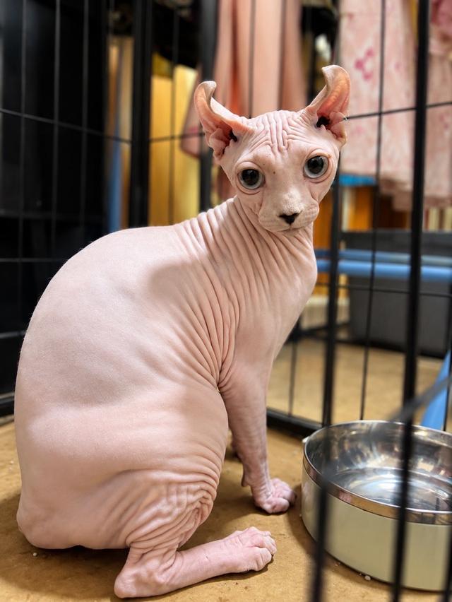ส่งถึงบ้าน กทม.และปริมณฑล 🐾 รูปที่ 10