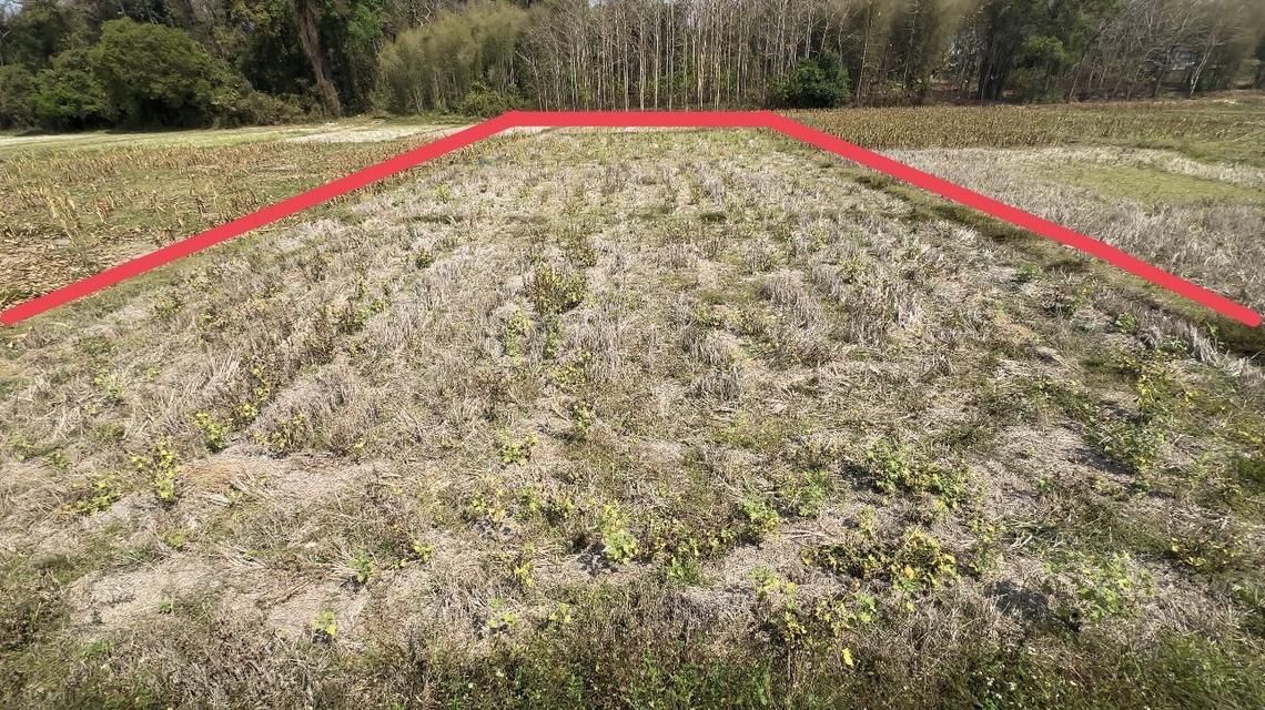 ที่ดิน(ที่นามีโฉนดครุฑแดง) 8