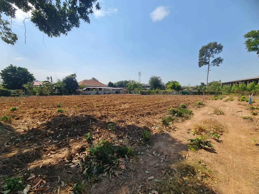 ขายที่ดินฝั่งทะเล บางละมุงเนื้อที่ 5 ไร่ ซ.สุขุมวิท-บางละมุง31 ใกล้ถ.สุขุมวิท3-1.1กม อ.บางละมุง ชลบุรี 1