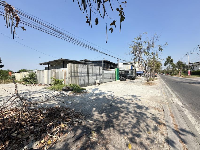 ที่ดินรามอินทรา117 ติดถนน เจริญพัฒนา 2