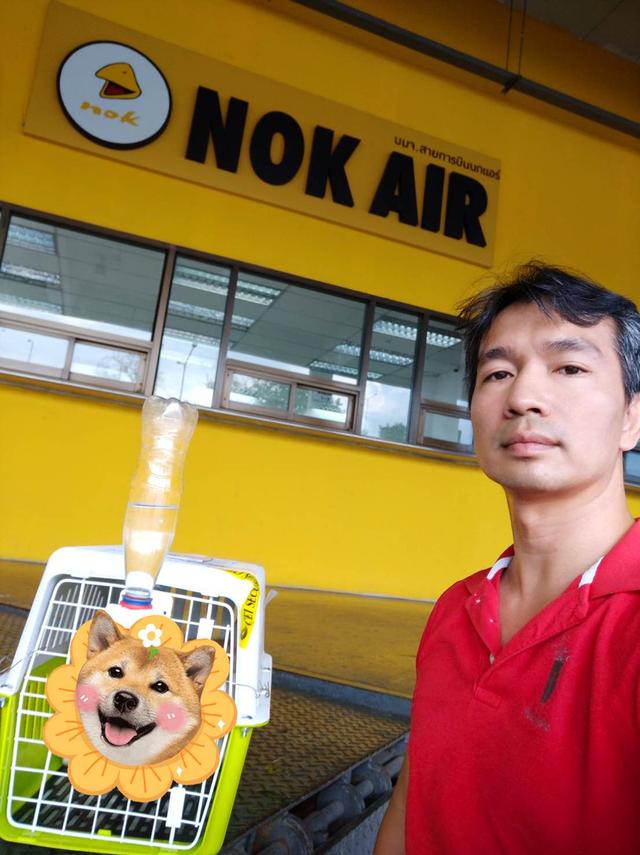 🐶 #บริการรับส่งสุนัขและแมวเท่านั้นทั่วไทยมีรถทุกวัน 📲 0867441143 นเรศ ID LINE : 0867441143 รับลงเครื่องส่งอยู่ต่างจังหวัดเดินทางด้วยรถไฟฟ้าแยกบล็อค รูปที่ 9