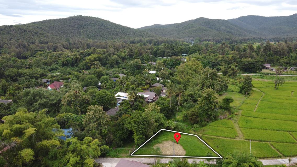 ที่ดิน 160 ตร.ว. ถมแล้ว น้ำ-ไฟ-พร้อม วิวทุ่งนาสวยๆ
