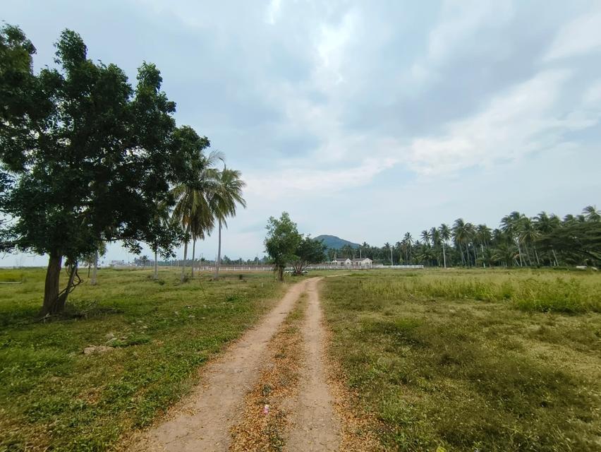ขายที่ดินสวย ทำเลดี ติดคลองอ่างทอง ใกล้ชายทะเลทับสะแก ประจวบคีรีขันธ์ 7