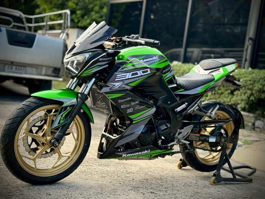 Z300