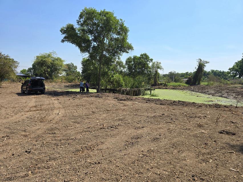 ที่ดินเปล่าถมแล้ว 7 ไร่ ใกล้กรุงเทพ ที่ดินสวย บรรยากาศดี มีทุ่งนา โฉนดครุฑแดง อ.เมือง ต.วังตะเคียน จ.ฉะเชิงเทรา 3