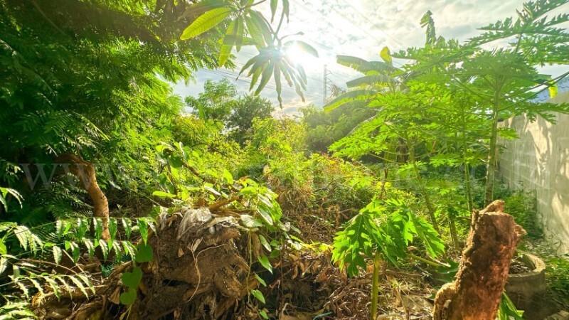 ที่ดินเปล่า 48 ตร.วา ซอยวัดบางปลา เทพารักษ์ - สมุทรปราการ 3