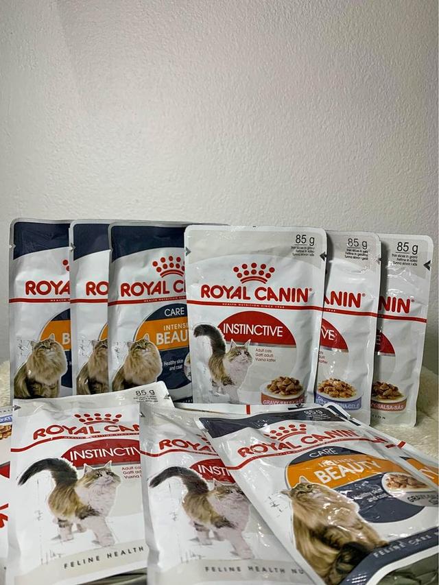 เปียกแมว Royal Canin 4