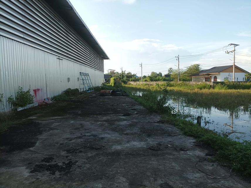 ขายที่ดิน(โรงงานเก่า) ต.แม่คือ อ.ดอยสะเก็ด จ.เชียงใหม่ 4