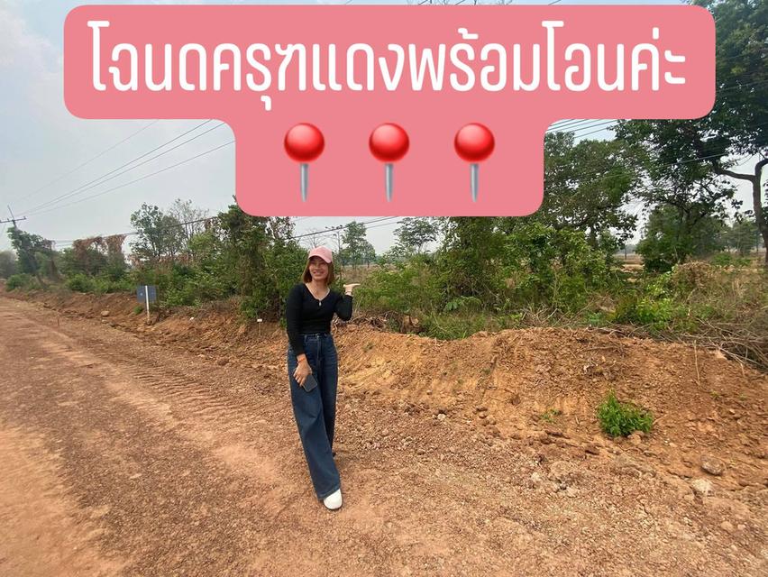 ที่ดินติดถนนหลักเส้นนาแก-พระซอง-เรณู24 ไร่ 5