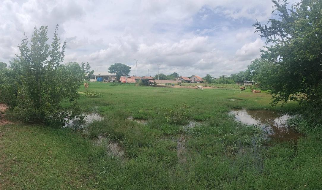 ที่ดินมหาสารคาม เนื้อที่ 6 ไร่ 2 งาน อำเภอบรบือ ราคาคุยกันก่อนได้ 4