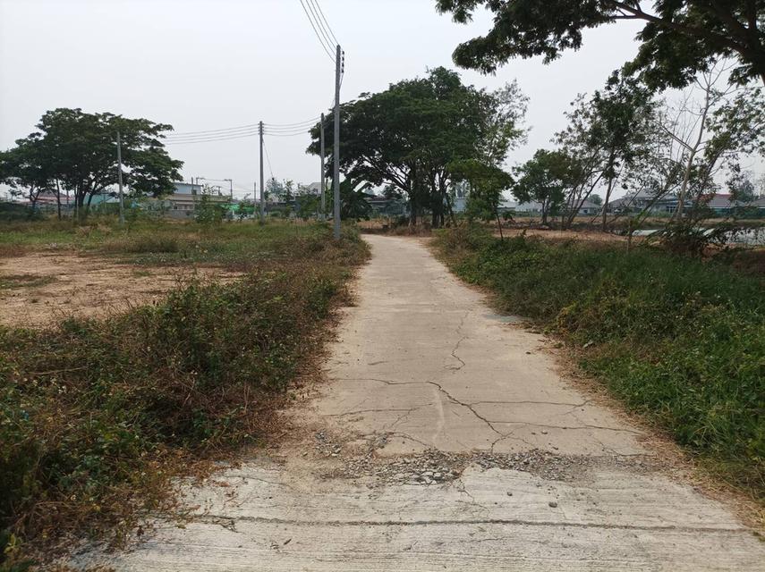 ขายที่ดิน ราคา7,900บาท/ตร.ว. ต.สำราญราษฏร์ อ.ดอยสะเก็ด จ.เชียงใหม่ 3