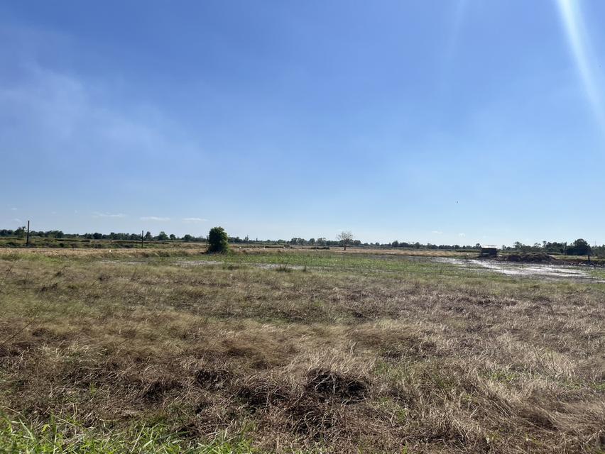 ขายที่ดิน 1 ไร่ มีโฉนด อ.ปากพลี ขายพร้อมโอน 420,000 บาท 13