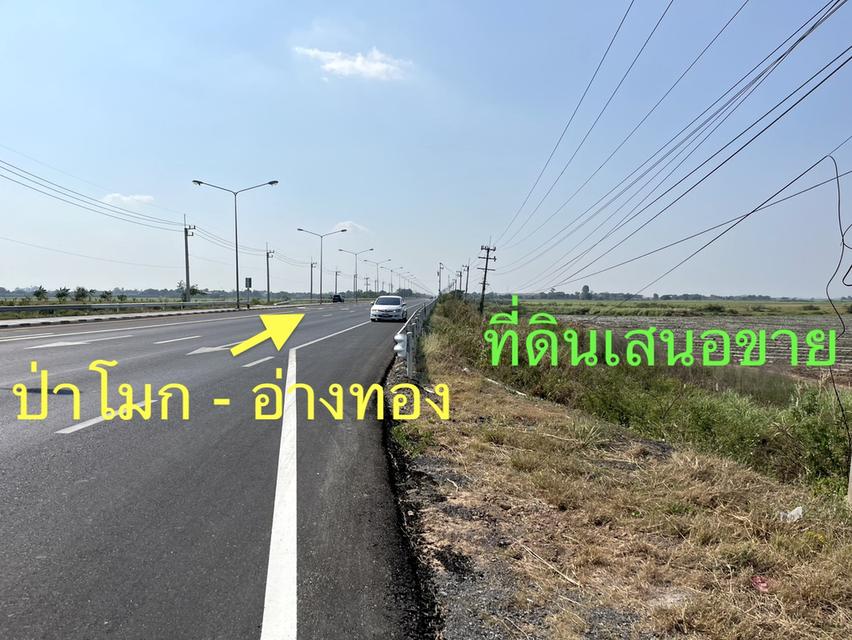 ขายที่ดินติดถนนสายอยุธยา อ่างทอง 083 610 6693 11
