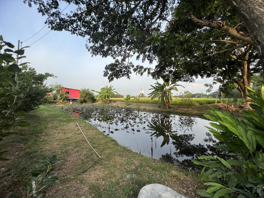 ที่ดิน 7 ไร่ สิงห์บุรีใกล้สายเอเซีย 1