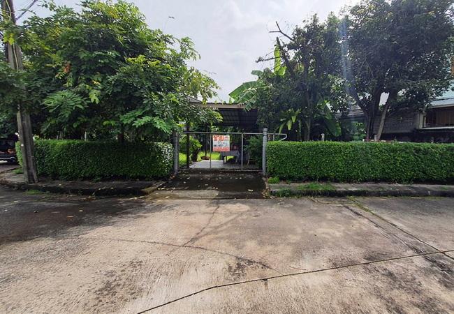 ขายที่ดิน ในหมู่บ้านซันไรซ์กรีน ซอยนวมินทร์ 143 เขตบึงกุ่ม กรุงเทพมหานคร 5