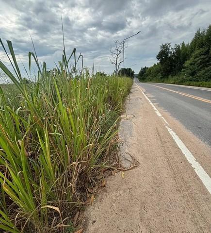 ขายที่ดินนิคมพัฒนาระยอง ขายที่ดินระยองทำเลดีเนื้อที่ 9 ไร่ พิกัด ซอย 13 สาย 7 อ.นิคมพัฒนา จ.ระยอง ผัง สีม่วงลาย 2