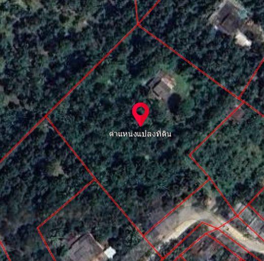 ขายด่วน! สวนทุเรียนหมอนทอง ต้นใหญ่ 7ปี+ จ.ชุมพร 1