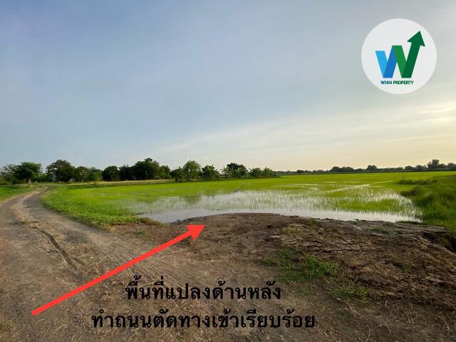 ขายที่ดินเปล่า 68-3-20 ไร่ อ.บ้านโพธิ์ จ.ฉะเชิงเทรา 3