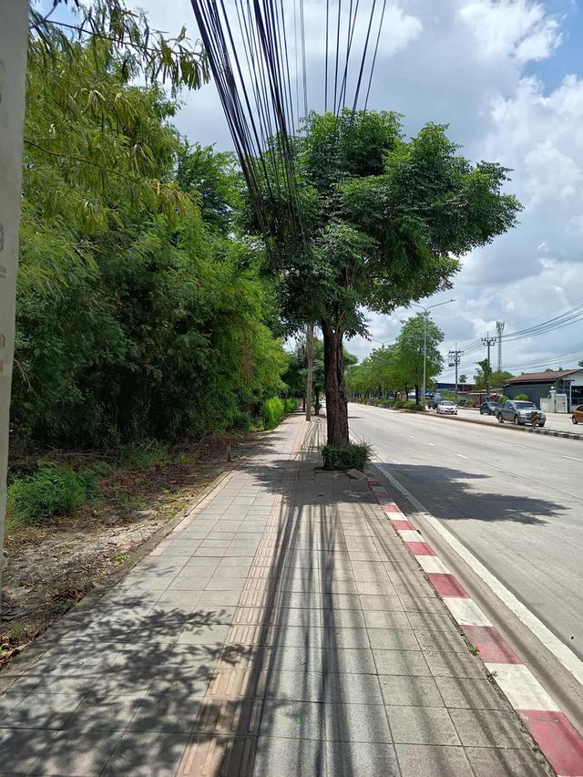 ที่ดินนิมิต​ใหม่​ 6