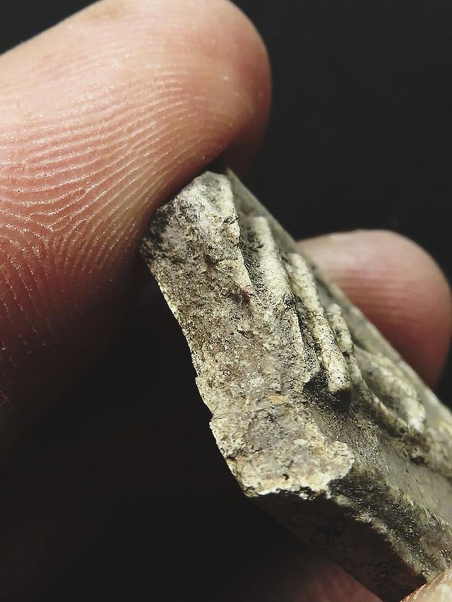 (ชิ้นส่วน)สมเด็จวัดระฆังโฆสิตาราม พิมพ์ใหญ่อกร่องเกศทะลุซุ้ม (หรือเรียกว่าพิมพ์สุโขทัย) บล็อกหลวงวิจารณ์เจียรนัย