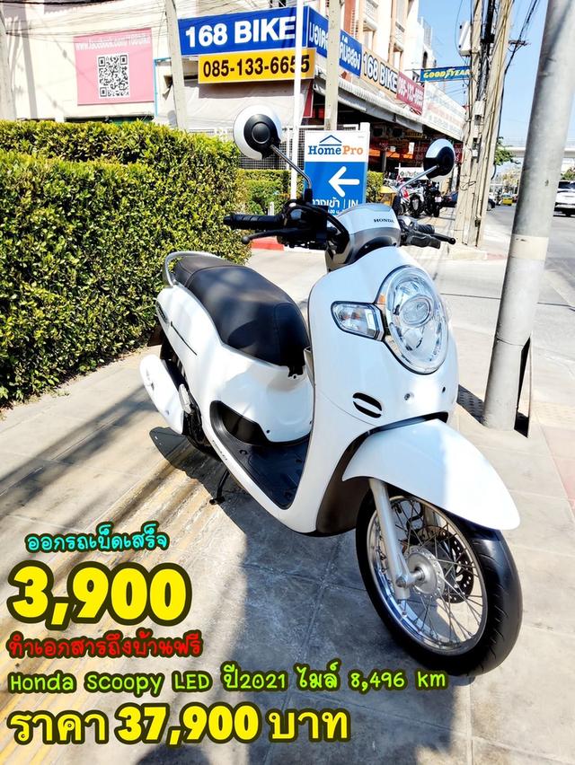 Honda Scoopy LED ปี2021 สภาพเกรดA 8496 km เอกสารพร้อมโอน