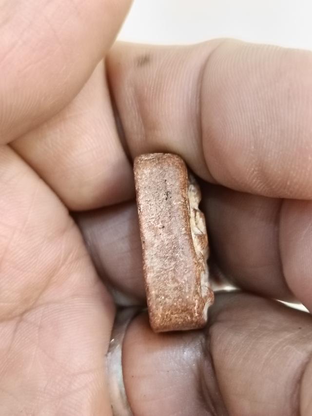 พระหลวงพ่อปาน พิมพ์ขี่นก 10