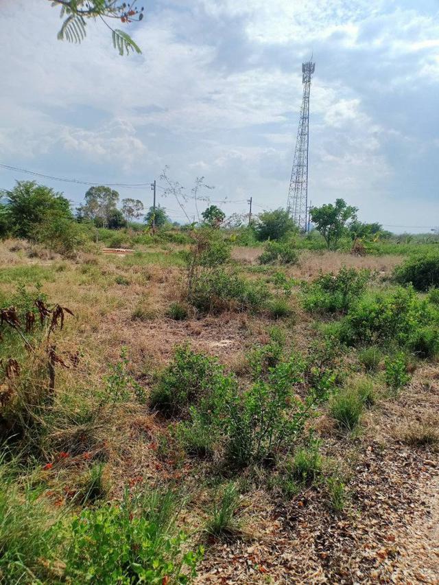 ขาย ที่ดิน ติดถนน น้ำไฟพร้อม ใกล้ทะเล ชะอำ หาดเจ้าสำราญ 2