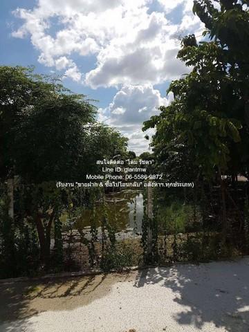 ขายที่ดินเปล่าถมแล้ว 200 ตร.ว. ติดถนนพุทธมณฑลสาย 1 ราคา 30,000,000 บาท (150,000 บาท/ตร.ว.) 8