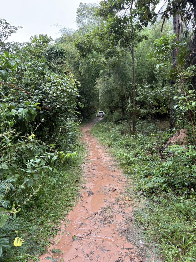 ขายที่นา 12 ไร่กว่า ราคาถูก อ.กันทรารมย์ จ.ศรีสะเกษ เจ้าของขายเอง 3