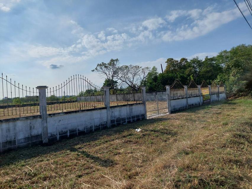 ขายที่ดิน 10ไร่ ใกล้ด่านมอเตอร์เวย์ บางปะกง 1