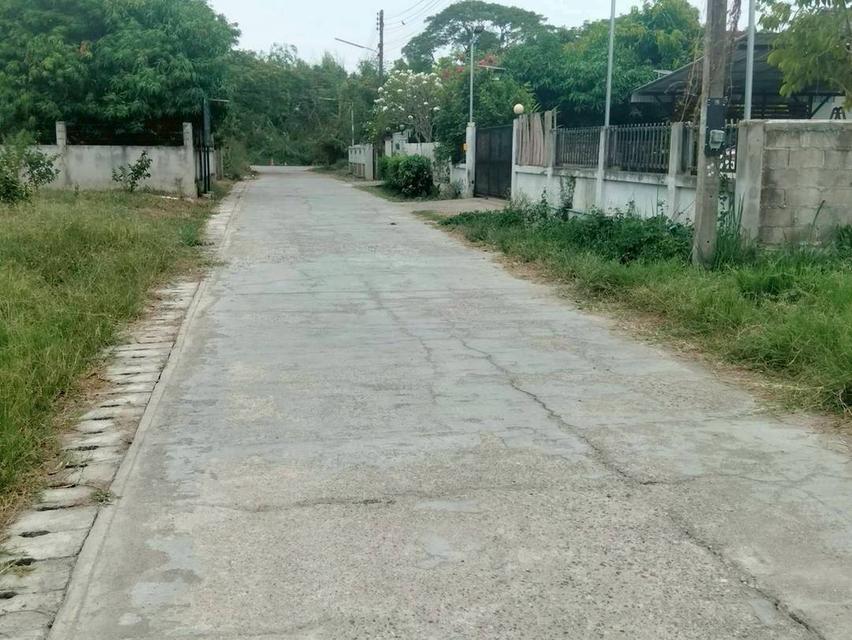 ที่ดินทำเลดี แถวบ้านมอญใกล้ตัวเมืองเชียงใหม่ โซนสันกลาง เนื้อที่ 100 ตารางวา ขายต่ำกว่าราคาตลาดเพียงตารางวาละ 18,000 บาท 5