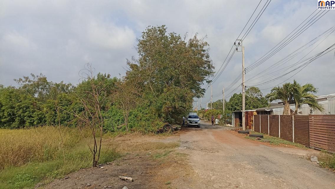 ที่ดินเปล่า 1 ไร่ ใกล้ถนนคลอง 13 หนองจอก ใกล้ชุมชน วัดแสนเกษม 4