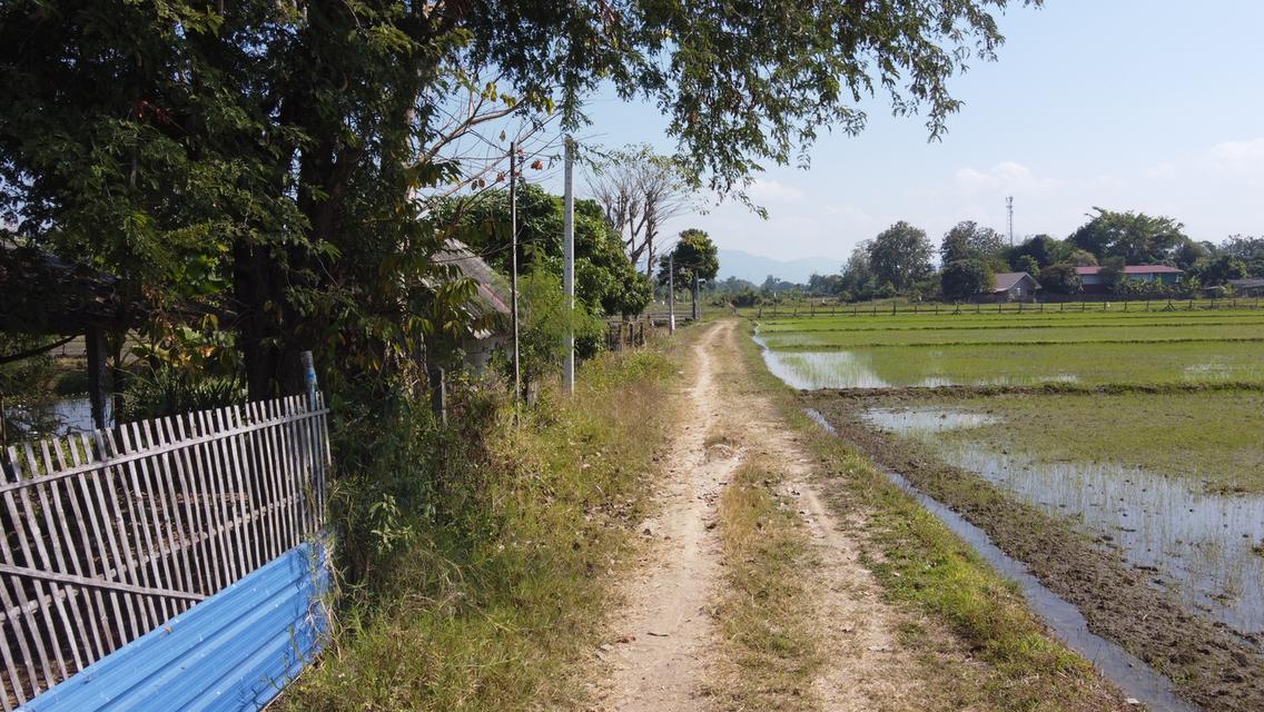 ขายที่ดิน 6-3-71 ไร่ ติดลำเหมือง 3 ด้าน น้ำ-ไฟพร้อม ใกล้กรมที่ดินสันกำแพง 800 เมตร 9