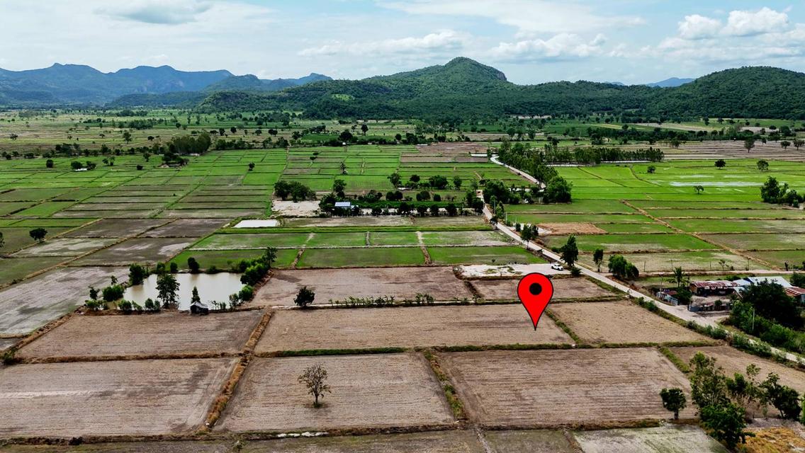 ที่ดิน สระโบสต์ จ. ลพบุรี ไร่ละ 165,000 บาท 15
