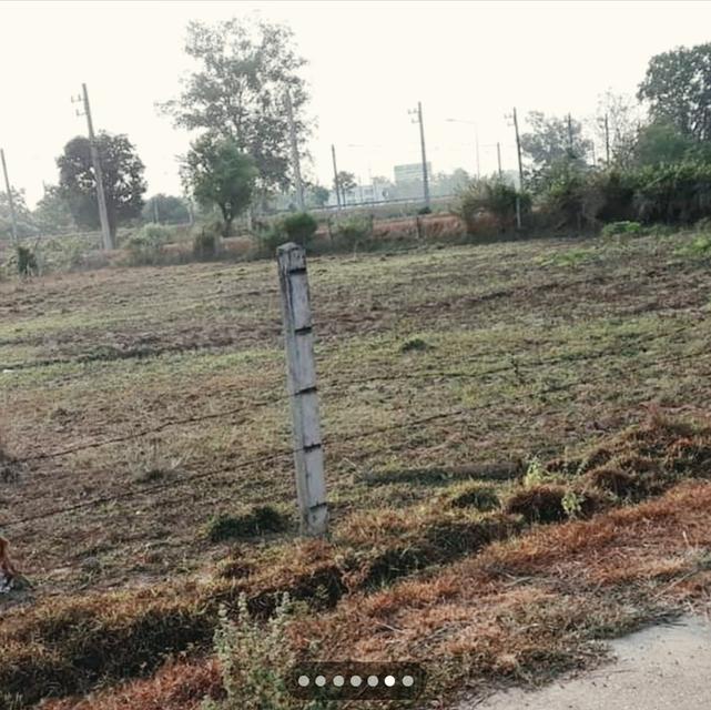 ที่ดินหนองคาย ติดถนน หนองคาย-เวียงจัทนร์ทางไปตม.ลาว 2