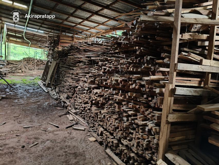 กิจการโรงไม้พร้อมเครื่องจักรทำไม้ 7